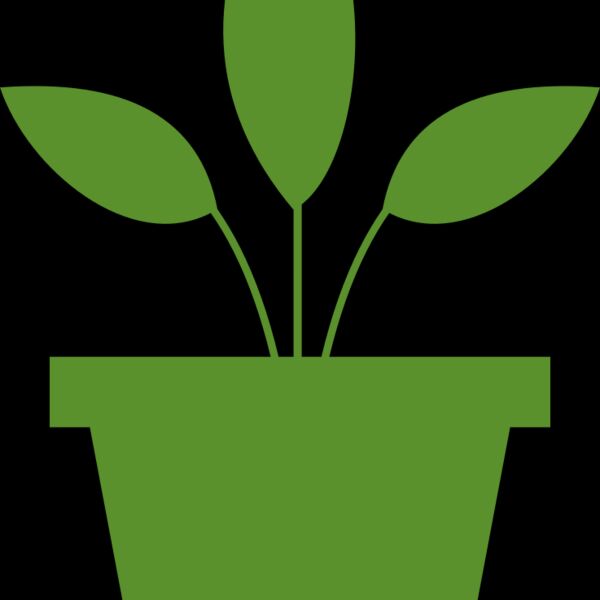 Plant 2 Thumbnail